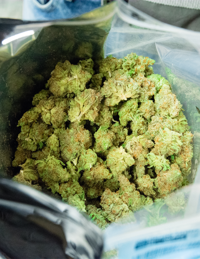 Cannabis Decontamination